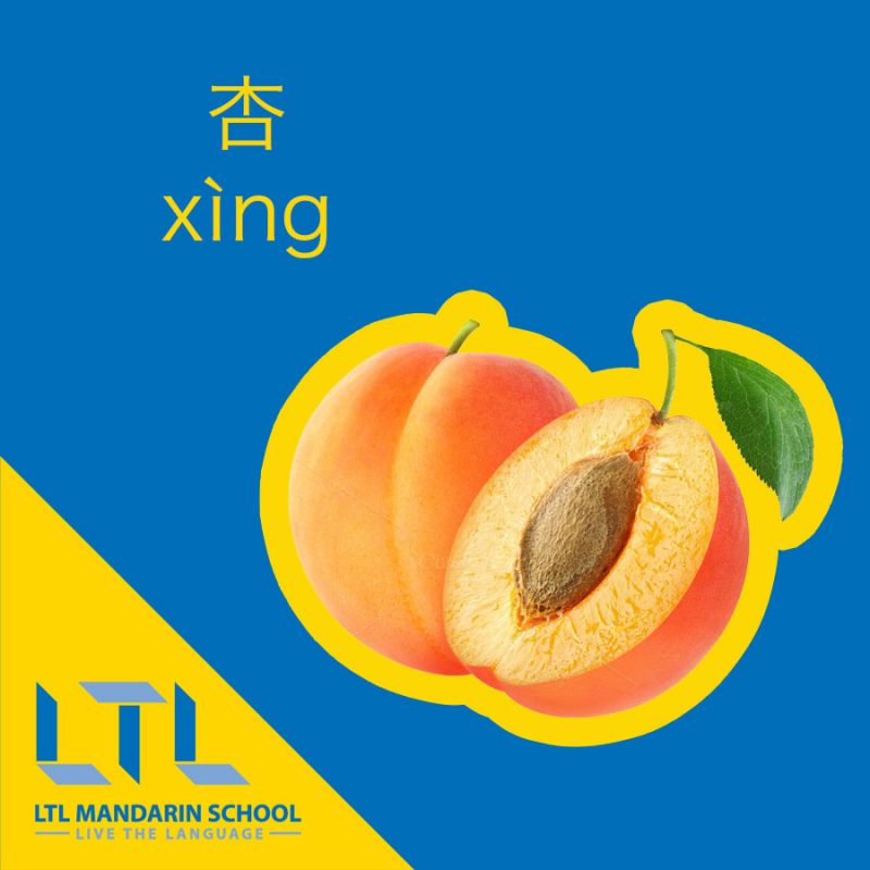 Apricot in Chinese