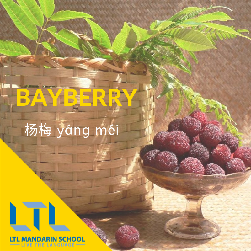 Bayberry in Chinese