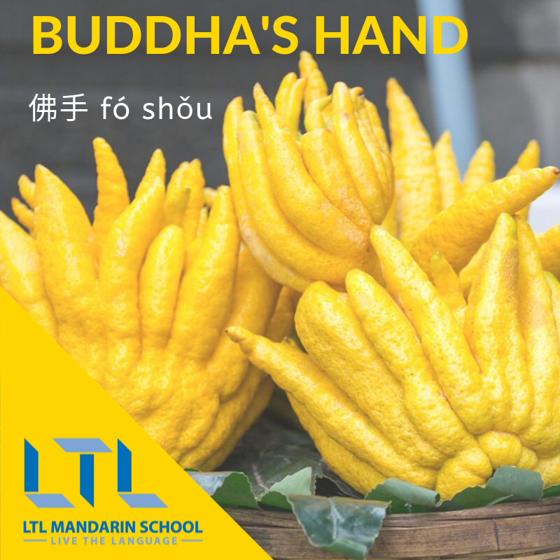 Buddha's hand in Chinese