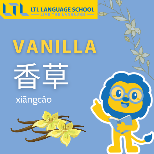 Vanilla in Chinese