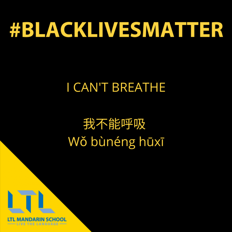 Black Lives Matter Chinese Vocabulary